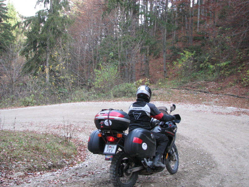 2008_11_1-2-Sirnea-VDoftanei_0068.jpg