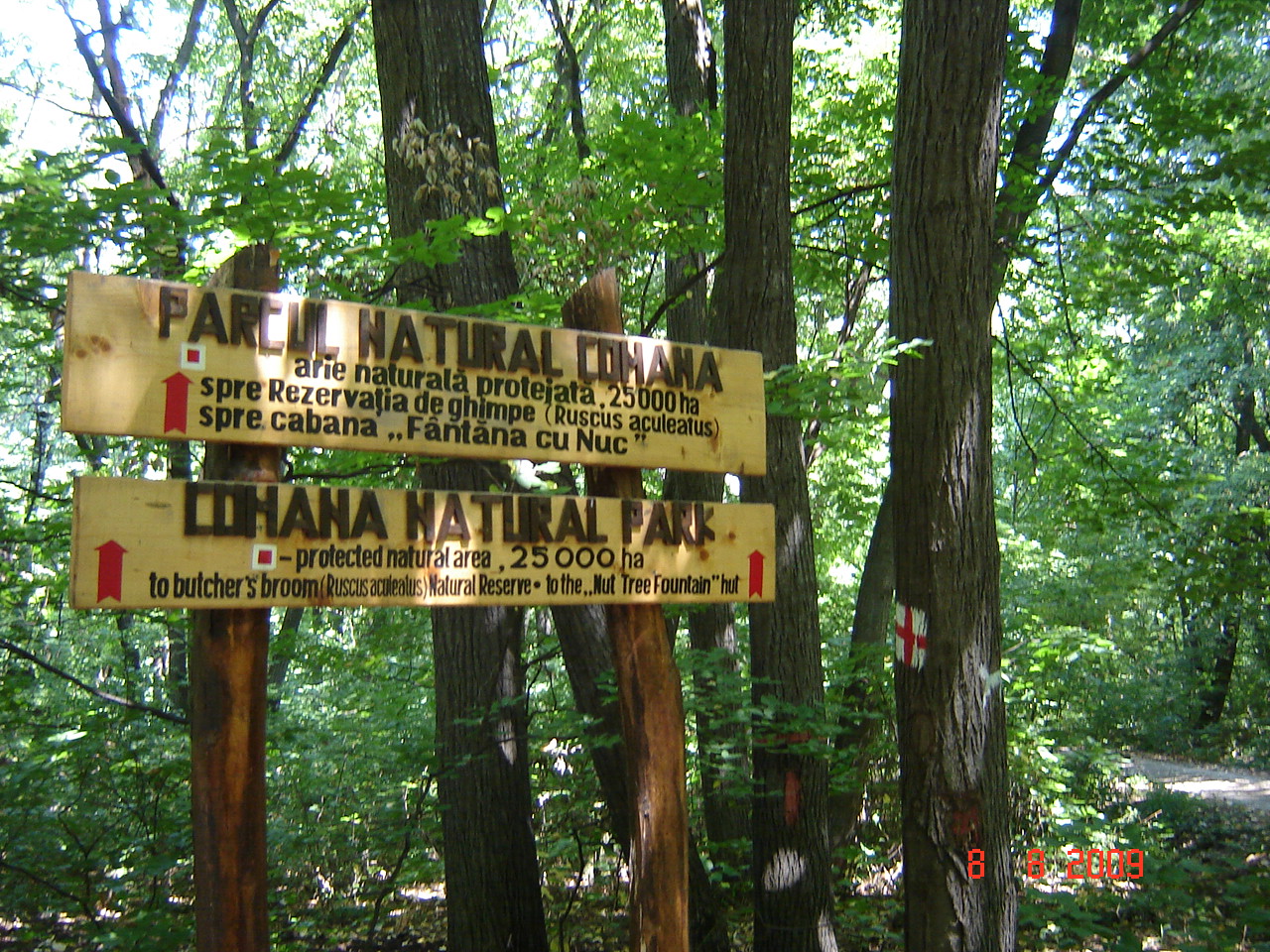 DSC09425.JPG