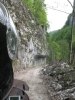 thumb_IMG_1994.jpg